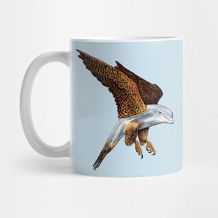 Peregrine Dolphin Mug